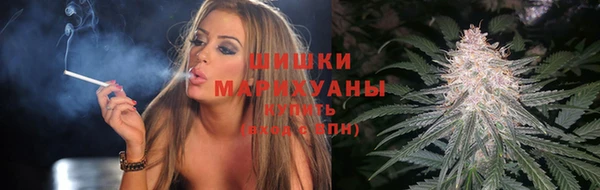 гашик Нея