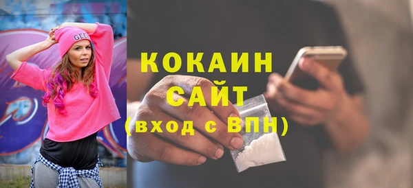 PSILOCYBIN Вяземский