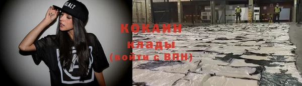 прущие грибы Вязники