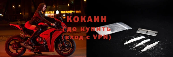 прущие грибы Вязники