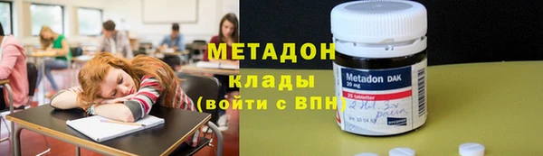 прущие грибы Вязники
