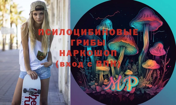 прущие грибы Вязники