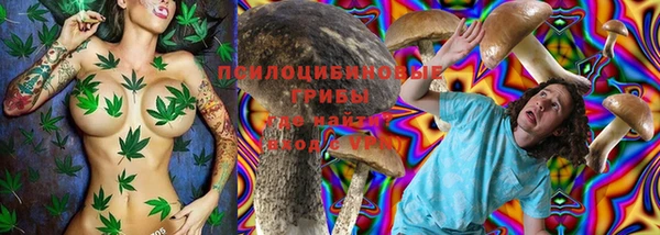 гашик Нея
