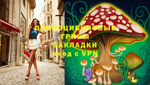 PSILOCYBIN Вяземский