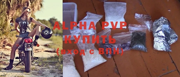 PSILOCYBIN Вяземский