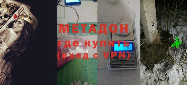 прущие грибы Вязники