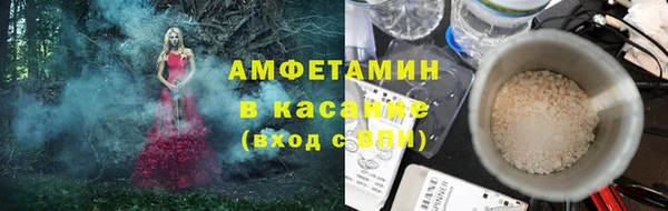 PSILOCYBIN Вяземский