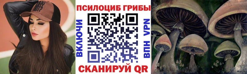 гидра как войти Орехово-Зуево Псилоцибиновые грибы Cubensis
